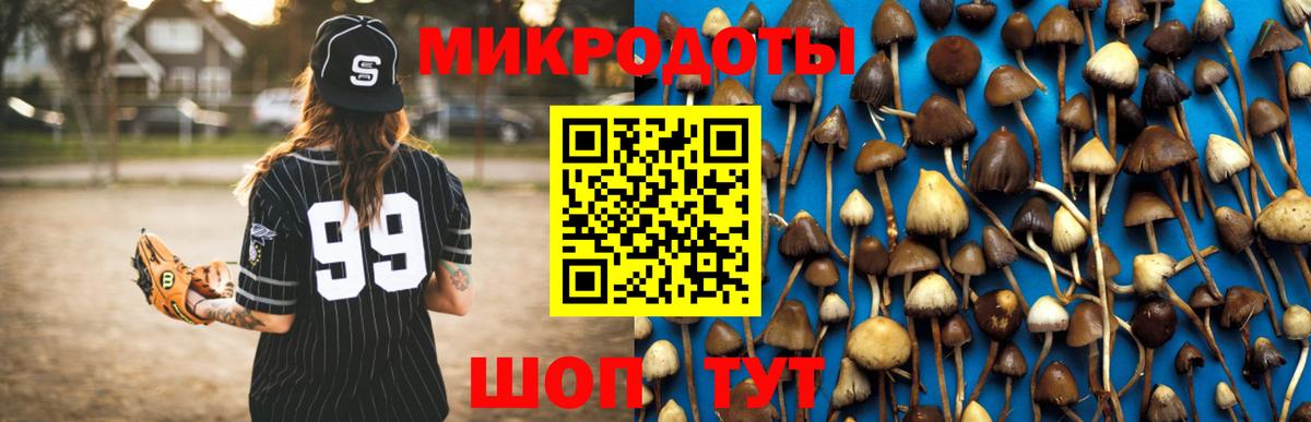 Галлюциногенные грибы Psilocybine cubensis Крымск
