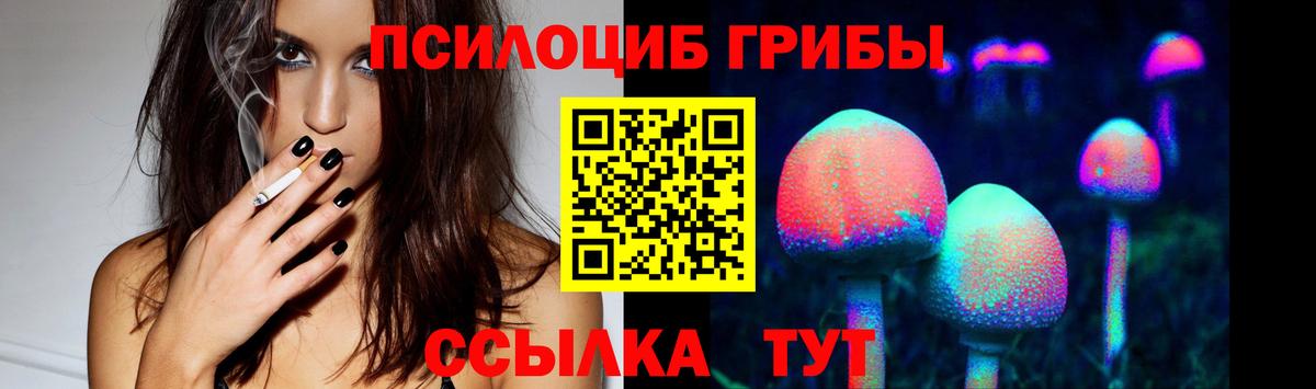 Крымск  Галлюциногенные грибы Psilocybine cubensis  Вход с VPN 